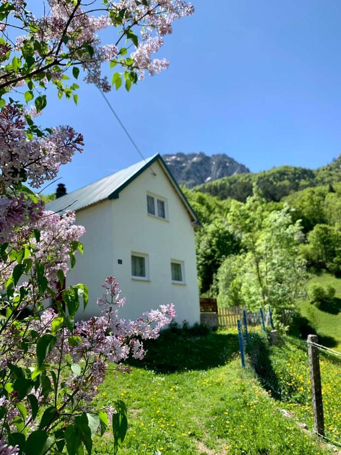 Maglic Villa Plužine Ngoại thất bức ảnh