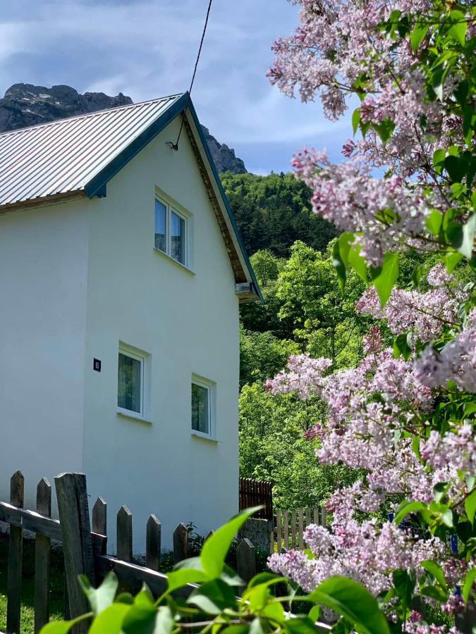 Maglic Villa Plužine Ngoại thất bức ảnh