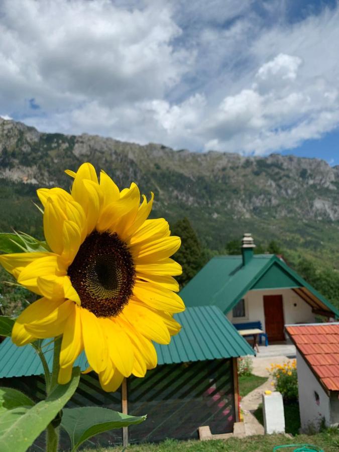 Maglic Villa Plužine Ngoại thất bức ảnh